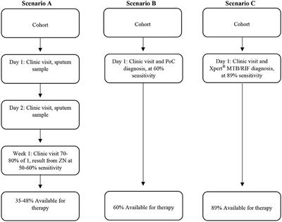 TB Control in Humans and Animals in South Africa: A Perspective on Problems and Successes